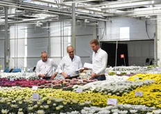 People from Deliflor checking their plants.